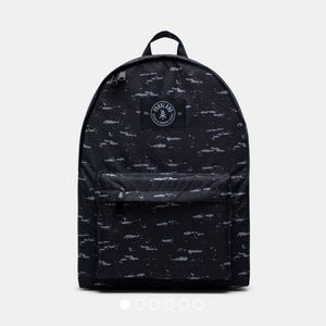 Parkland Franco backpack, like new
